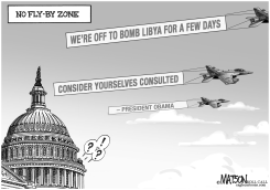 NO FLY-BY ZONE by R.J. Matson