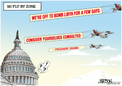 NO FLY-BY ZONE by R.J. Matson
