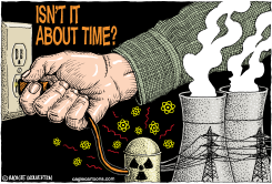 TIME TO PULL THE PLUG ON NUCLEAR POWER by Monte Wolverton