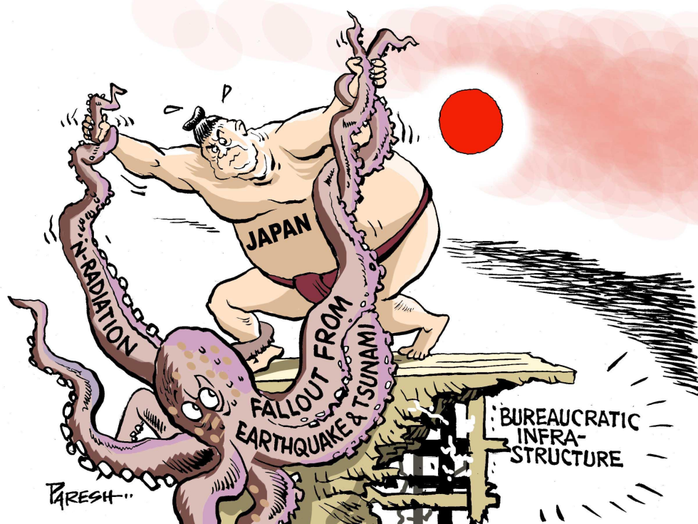 Japan problems