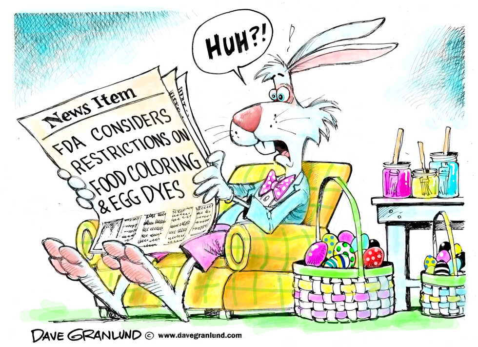  FDA AND FOOD DYES by Dave Granlund