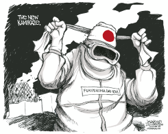 THE NEW KAMIKAZE  by John Cole