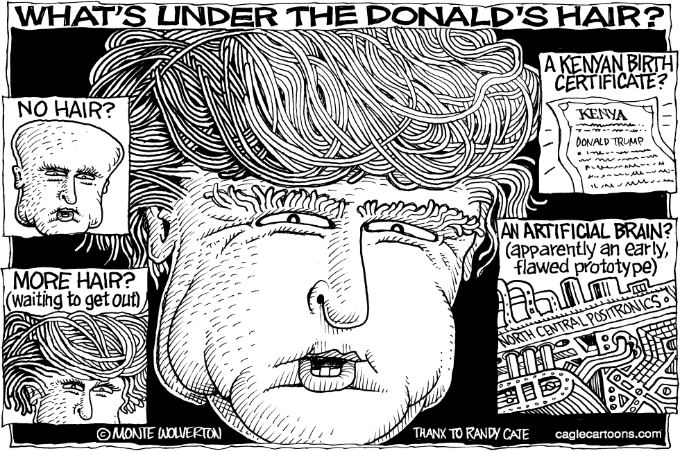 Whats Under the Donalds Hair
