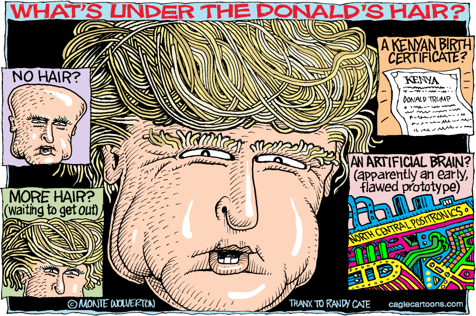 Whats Under the Donalds Hair COLOR