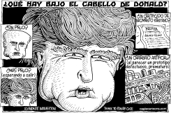 QUE HAY BAJO EL CABELLO DE DONALD by Monte Wolverton