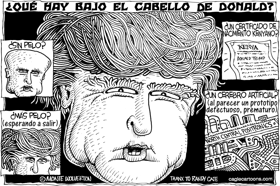 Que hay bajo el cabello de Donald