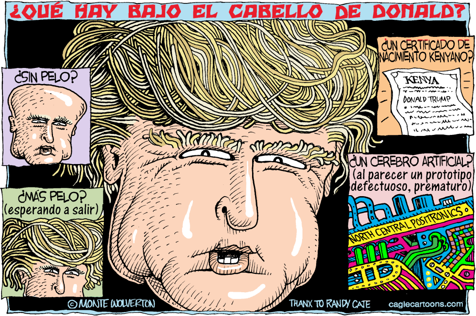 Que hay bajo el cabello de Donald / COLOR