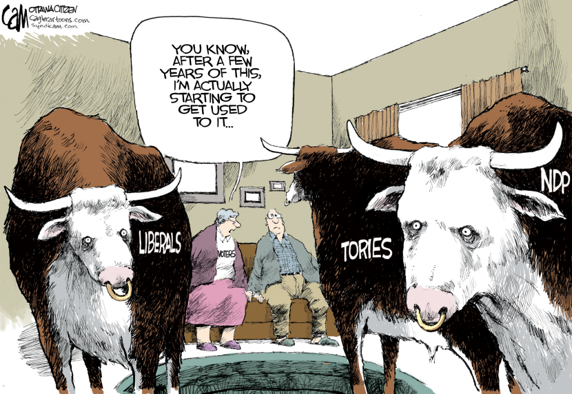 CANADA Bull