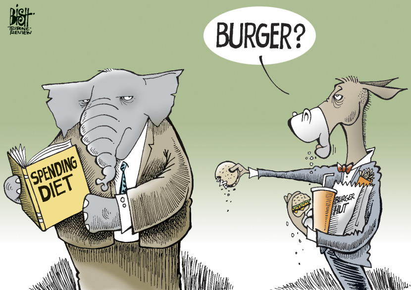 THE SPENDING DIET, COLOR