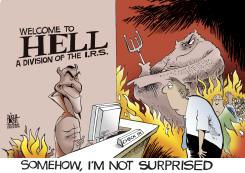 IRS,  by Randy Bish