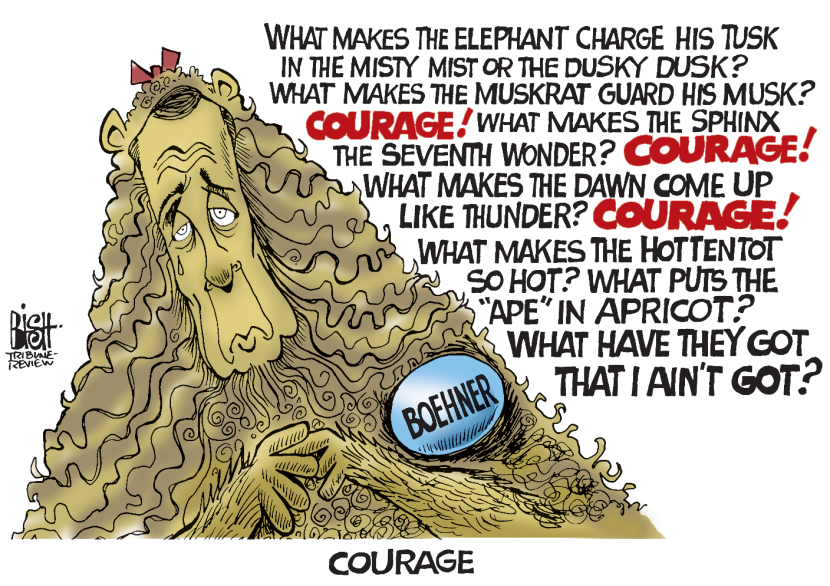 THE COURAGE OF BOEHNER, COLOR