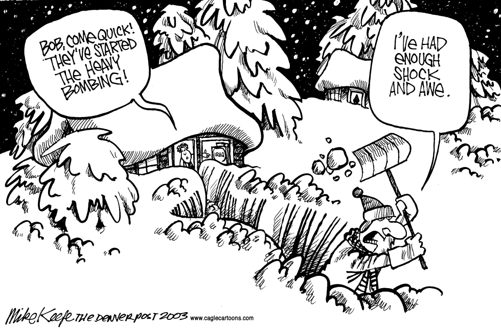 Blizzard 2003