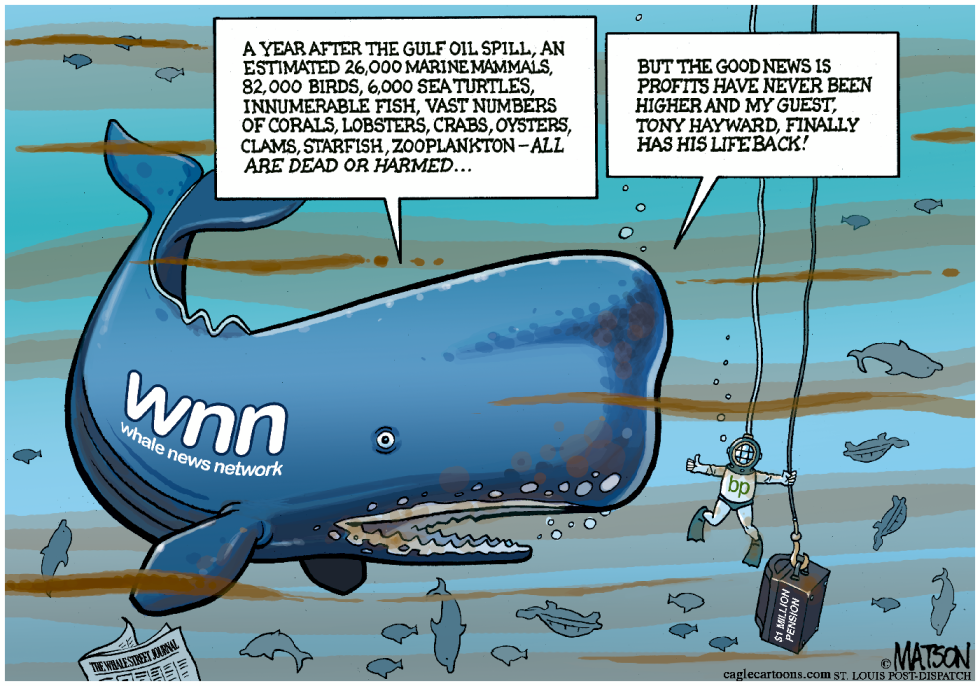 Whale News Network Covers Gulf Oil Spill Anniversary-COLOR