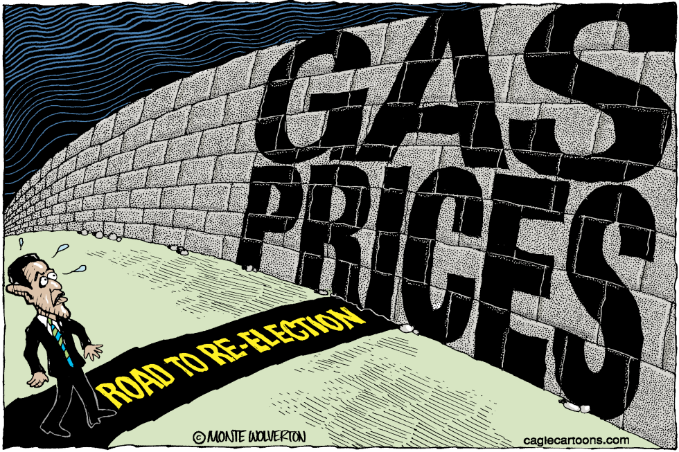 Obama Re-election Roadblock COLOR