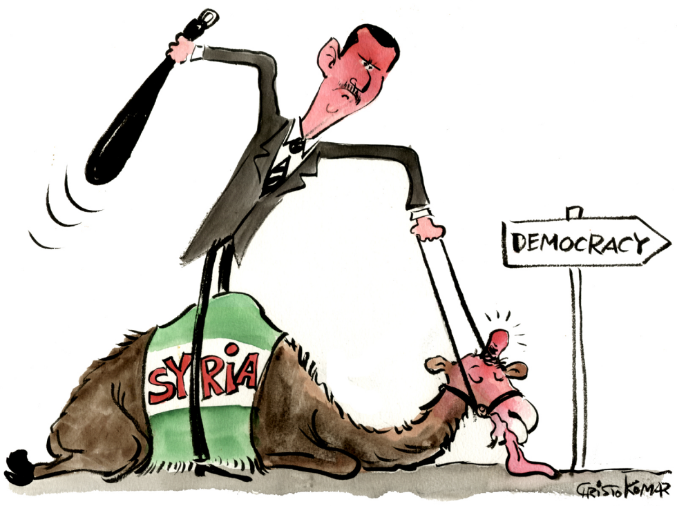 Syrian camel - color