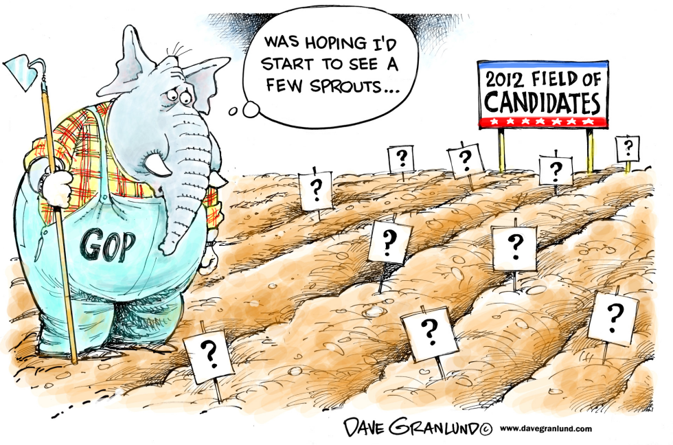 GOP 2012 candidate field