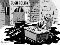 GUANTANAMO LEAKS by Paresh Nath
