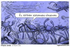 BIN LADEN Y AMIGOS -  by Taylor Jones
