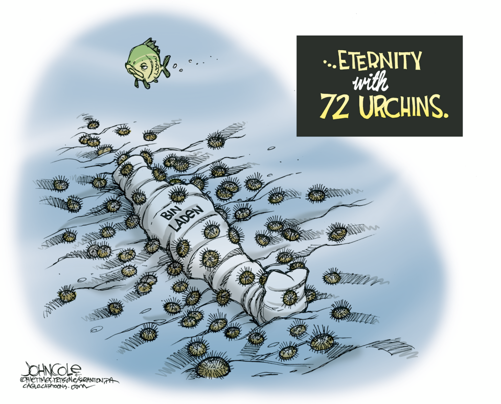 Bin Laden and eternity COLOR