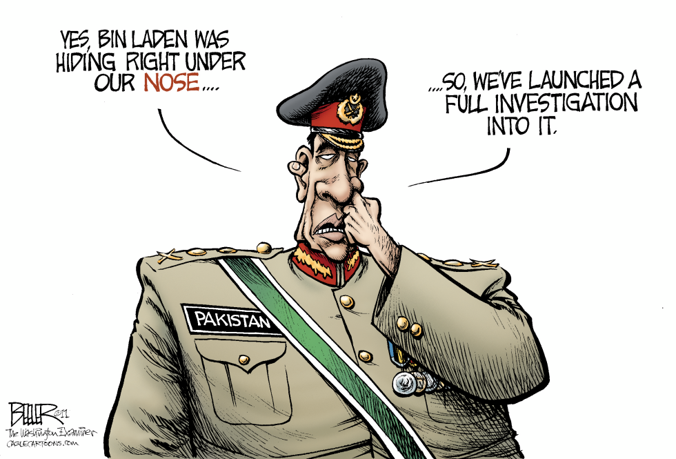 Probing Pakistan COLOR