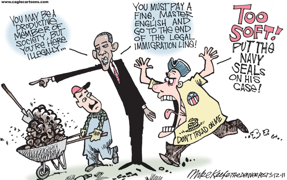 Immigration Reform COLOR
