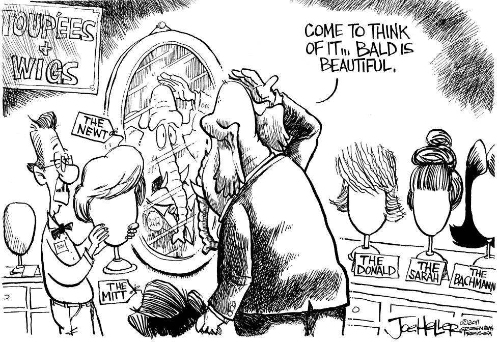 Newt and The GOP