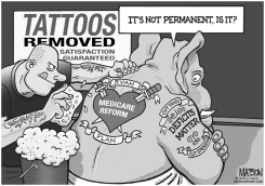 PAUL RYAN PLAN TATTOO by R.J. Matson