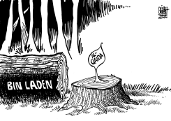 AL-QAIDA KEEPS ON GROWING, B/W by Randy Bish