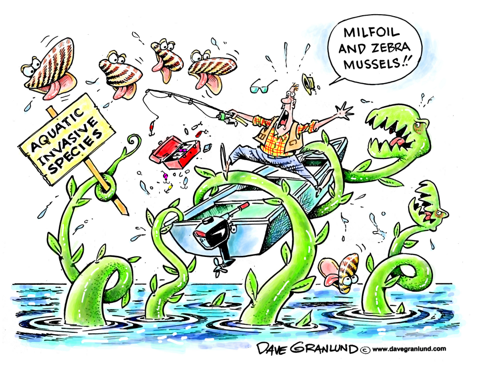 Aquatic invasive species