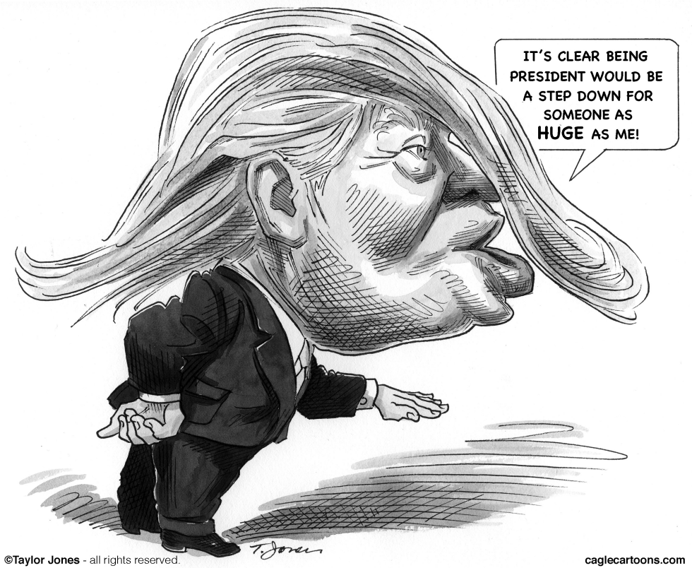 Donald Trump - Profile in Absurdity