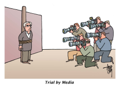 TRIAL BY MEDIA by Arend Van Dam