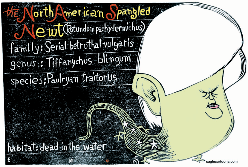 The End of Newt Color