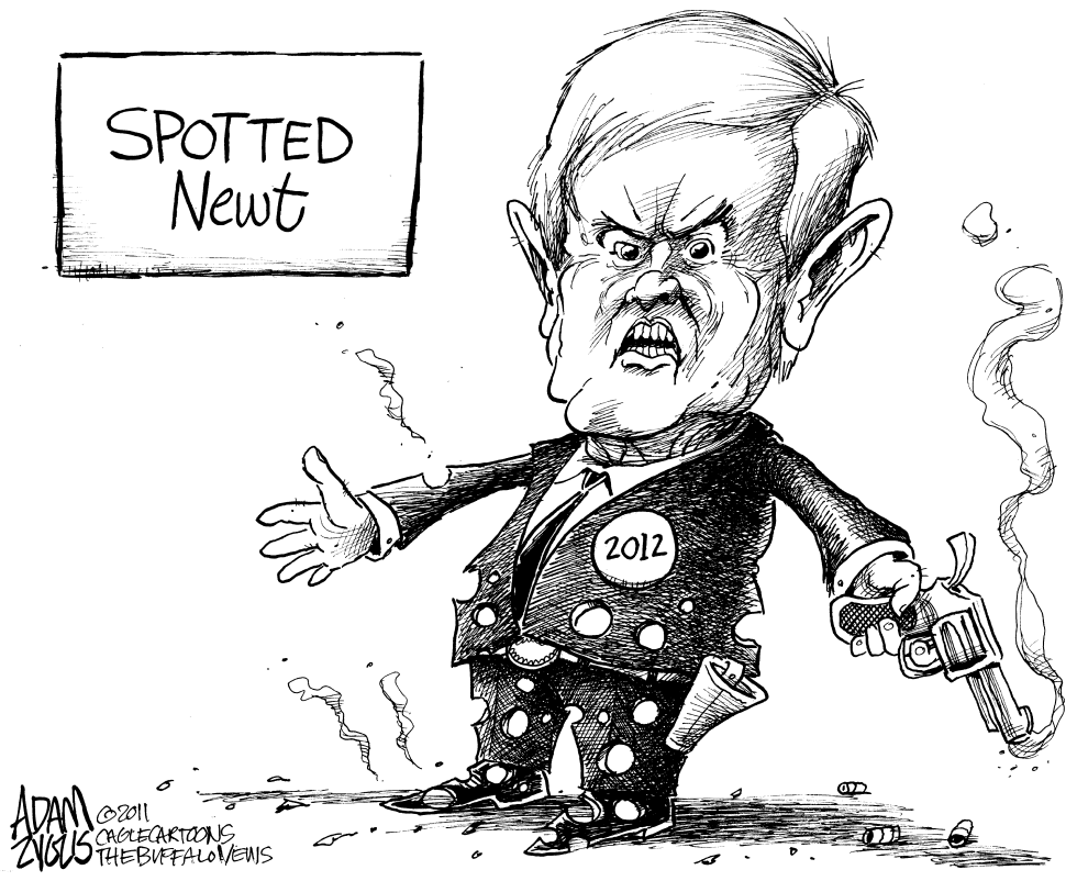Spotted Newt