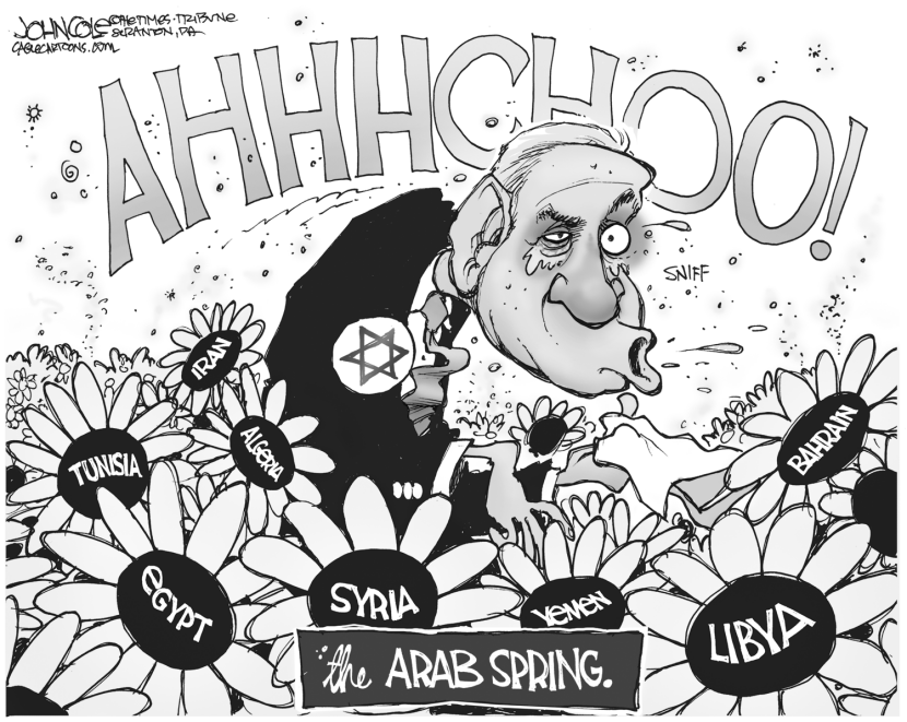 Arab Spring and Israel BW