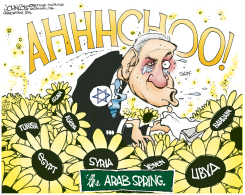 ARAB SPRING AND ISRAEL  by John Cole