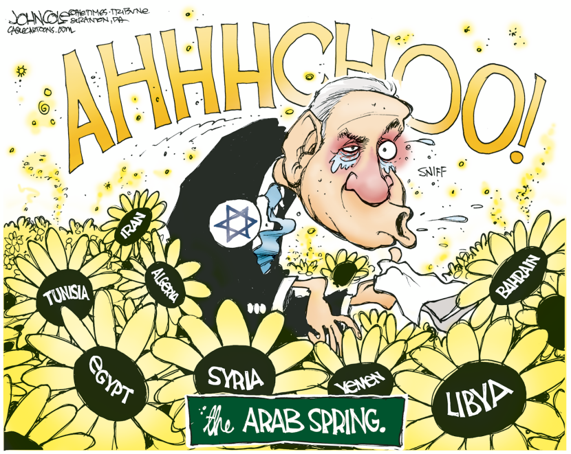 Arab Spring and Israel COLOR