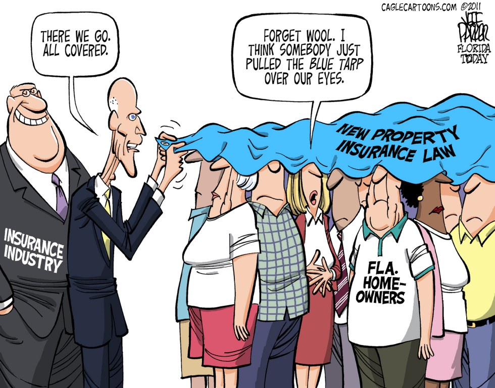 LOCAL FL Blue Tarp Coverage