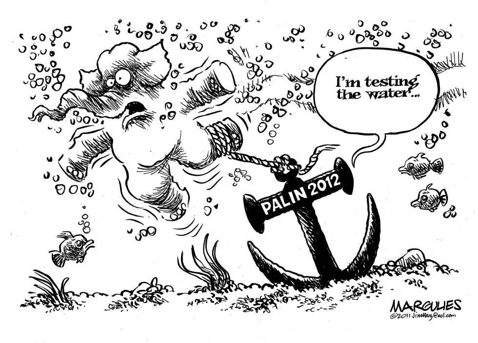 Palin tests the water