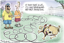 PALIN AND THE MEDIA by Joe Heller