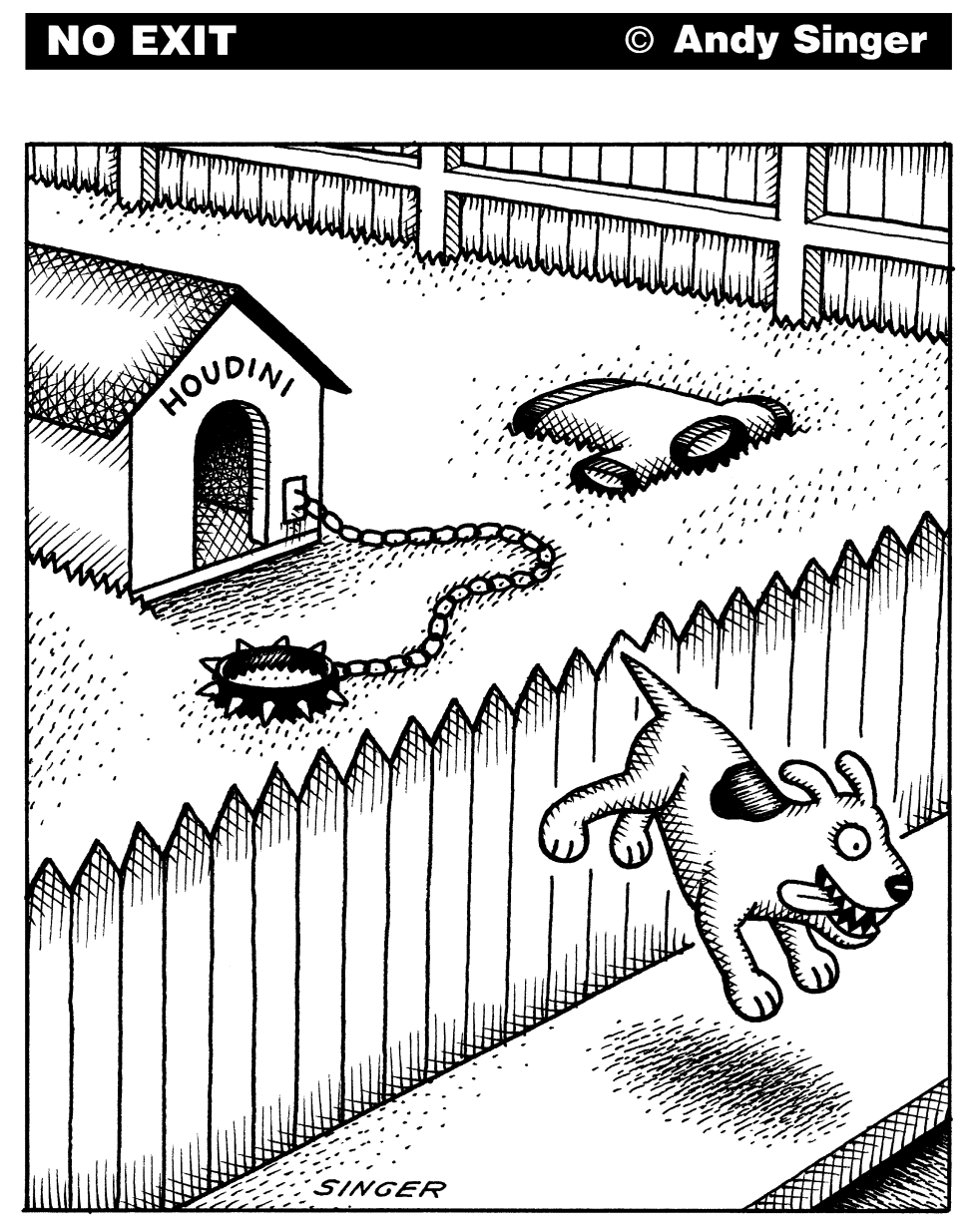Houdini Dog Escapes