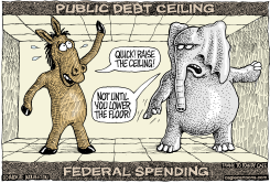 RAISING THE DEBT CEILING by Monte Wolverton