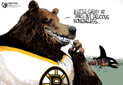 BRUINS WIN by Cam Cardow