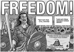 LOCAL-MO MISSOURI LEGISLATURE BRAVEHEARTS by R.J. Matson
