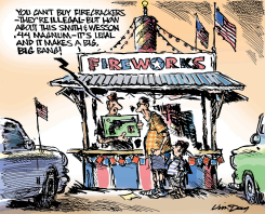 SANE AND SAFE JULY FOURTH -  by Jim Day