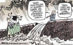 MCCAIN ON ILLEGAL IMMIGRANTS  by Mike Keefe