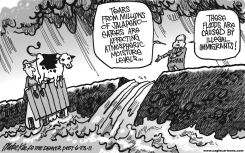 MCCAIN ON ILLEGAL IMMIGRANTS by Mike Keefe