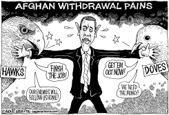 AFGHAN WITHDRAWAL PAINS by Monte Wolverton