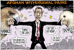 AFGHAN WITHDRAWAL PAINS by Monte Wolverton