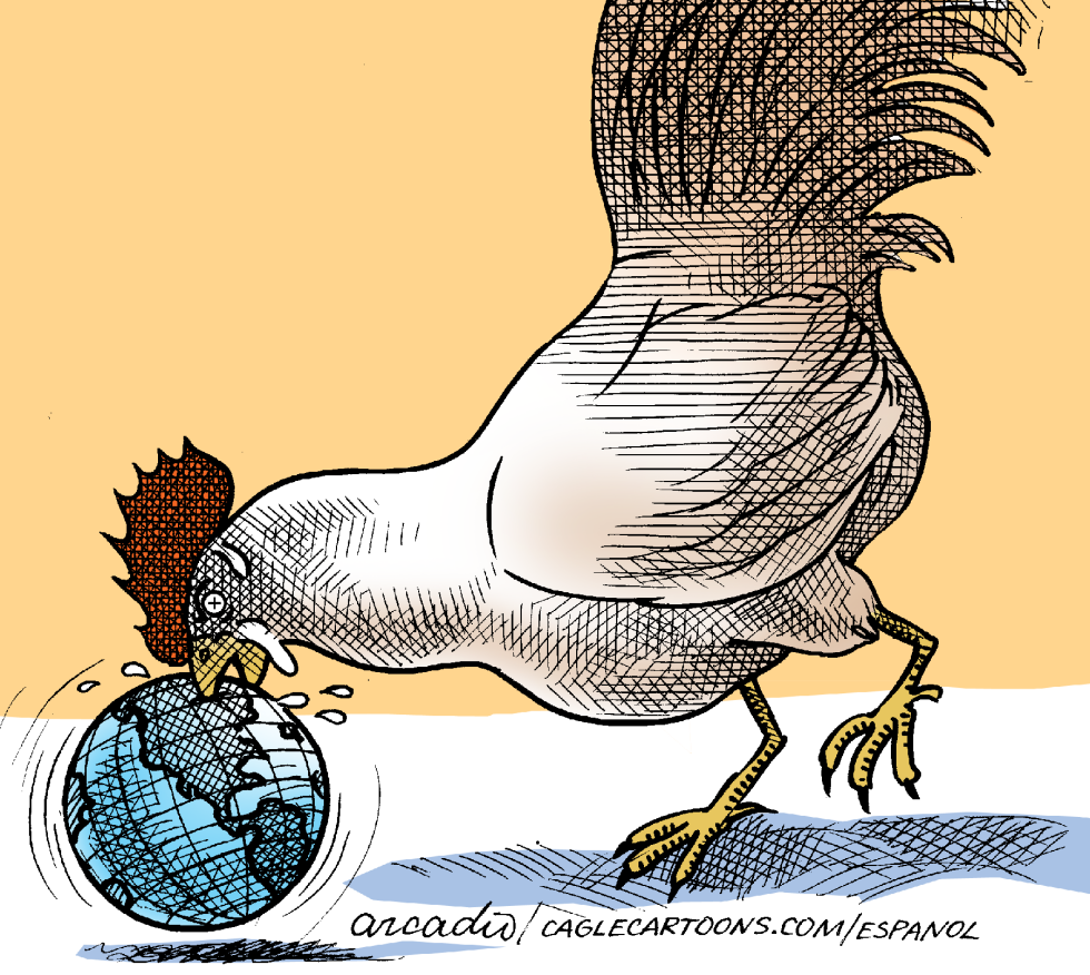 Bird Flu Attacks