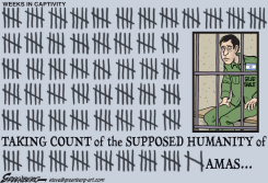ISRAELI PRISONER by Steve Greenberg